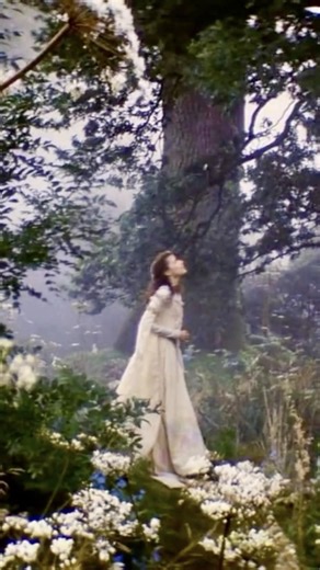 🍷🏰 #medieval #medievalcore #fantasy #lotr #castle