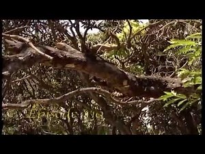 Velan tamil episodoe 110