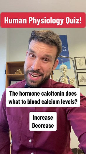 Test your Knowledge with a Human Physiology Quiz!