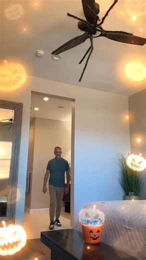 Parrot Uncle US on Reels