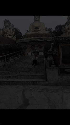 uuuu (@budobudi51)’s videos with original sound - uuuu