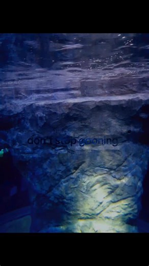 ×_× (@pooped_head)’s videos with son original - Sam★