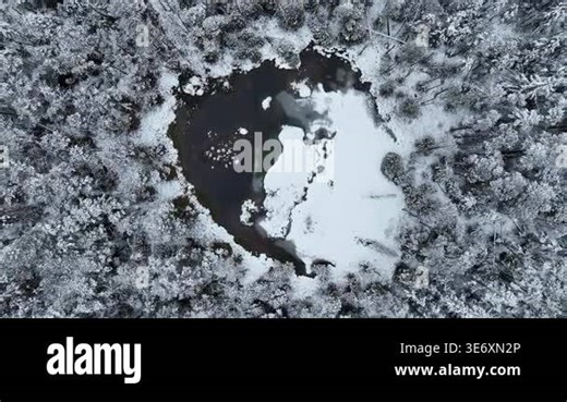 Jeseniky mountain peat bog winter ice upland lake Jeseniky pool wetland swamp aerial drone shot during winter natural ice form spruce tree Picea forest snow frost cold cool ice tundra biome frigid temperature birds eye top view footage. Famous Stock Video Footage - Alamy