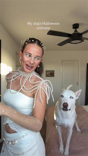 Yuki got so excited he started Twerking 🦖🐶🐉#dog #pets #dogmom #halloween #costume #halloweencostumeideas | ceceandherpups