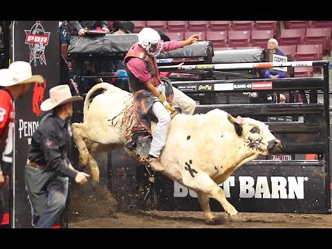 PBR Velocity Tour brings bull riding to North Charleston Coliseum