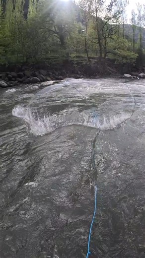SCENIC SPOT 🌿 RELAXING VIBES 🎣 EPIC CAST NET FISHING | SATISFYING CATCH MOMENTS #fishing #outdoors