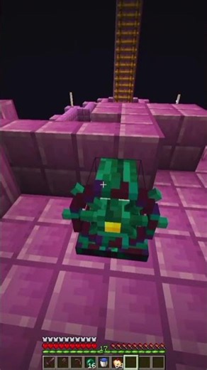 Who The Hell Needs A Elytra,When We Can Take The Whole Ship #minecraft