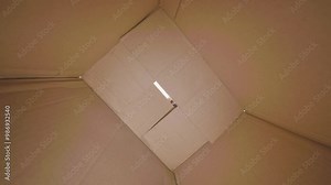 School friends open the box and are surprised. The view from the box. Then they close the box.