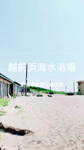 越前浜海水浴場の魅力と夏の楽しみ