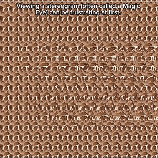 Viewing a stereogram (often called a Magic Eye) can be frustrating at first. It requires you to override your natural instinct to focus on the surface of the image. Most stereograms use the