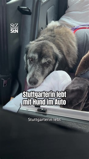 Leben im Auto: Stuttgarterin schläft für ihren Hund