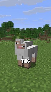 this mod adds stair sheep... | mod - Ruined Dappled Forest by Knarfy #minecraft #minecraftmods