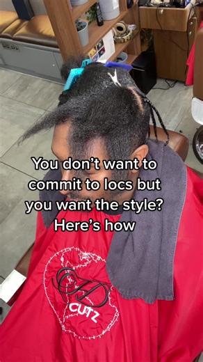 Man vs Lock: Choosing Between Locs and Braids | Mens Hairstyles