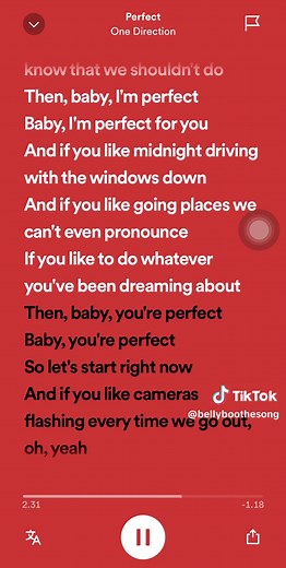 Perfect One Direction Lyrics and Songs