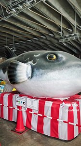 下関唐戸市場で楽しむ新鮮な海の幸