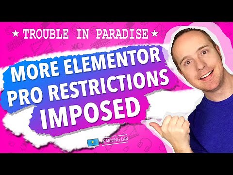 Manually Activate Elementor Pro No More But There's A Workaround