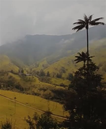 Colombie