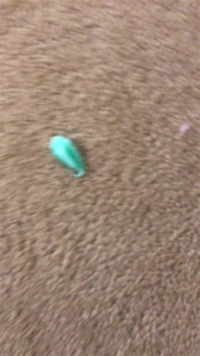 #voiceeffects how to get toothpaste out of your carpet #toothpaste #carpetcleaning #fyp #foryou #foryoupage