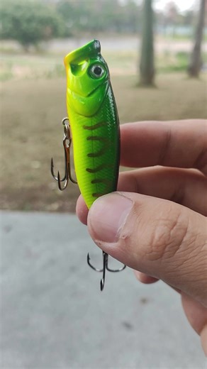 This topwater popper is built to call fish up from the depths. The cupped mouth creates loud popping sounds, while the bright frog-green pattern flashes like real prey on the surface. One twitch… One pause… BOOM — surface explosion. Perfect for bass, snakehead, pike and aggressive predators. Equipped with ultra-sharp treble hooks for solid hooksets and better landing rate. 👉 Visit our profile homepage to get yours #TopwaterFishing #PopperLure #BassFishing #FishingLure #LureFishing