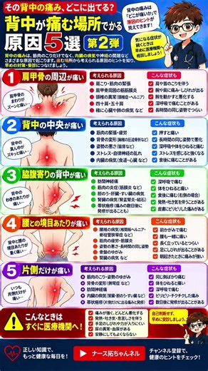 現役看護師が教える背中の痛む場所でわかる原因5選‼️ #背中 #筋肉 #腰椎椎間板ヘルニア #看護師