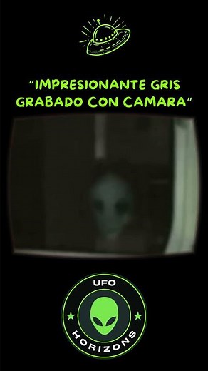 Alien Gris Captado por Cámara de Seguridad: ¿Nos Están Observando?”