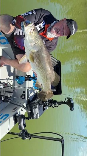 Getting started with Lowrance Active Target 2 - Lake Monduran April 2025