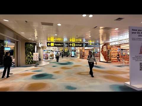 Singapore Changi Airport Arrival Step by Step 2025 (Immigration, Bags, Customs)