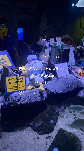レゴランドめっちゃ楽しいVlogパート2❗️水族館篇🦭🪼 #vlog #名古屋観光 #名古屋 #レゴランド #水族館