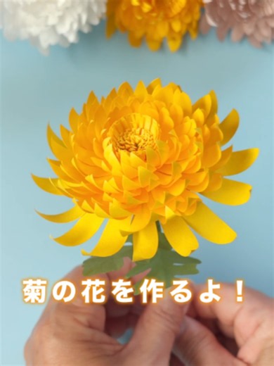 秋の花 菊を紙で作りました！ 詳しい作り方は、プロフィールページから「紙で作る 菊の花」の動画を見てね！ #作り方動画 #菊の花 #ペーパーフラワー #簡単diy