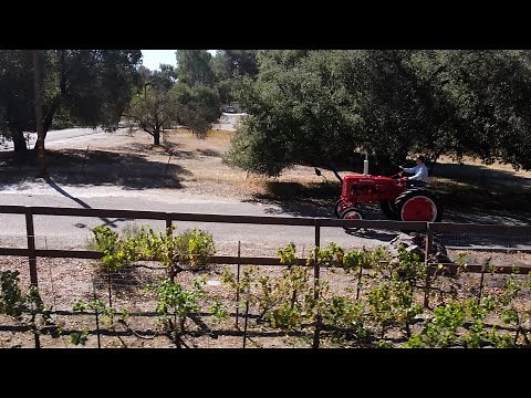 Chevron Tractor Restoration Reserve Champion! California Youth Wins BIG with a 1951 Farmall AV!