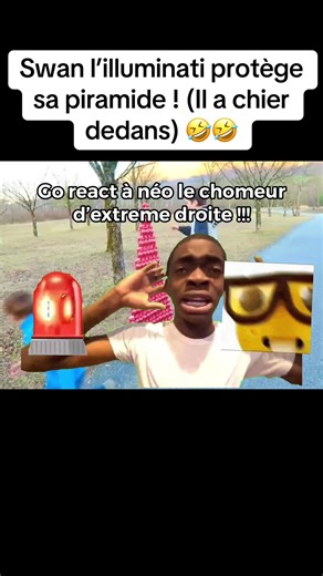 Swan et Néo : Humour et Doutes Existentialistes