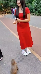 Hehe . . #monkeys #monkey #birds #monkeysofinstagram #animals #wildlife #nature #pet #pets | Monkeys China