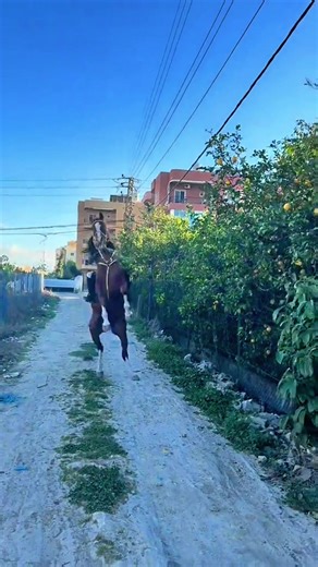 #tik_tok #fyp #الخيل_العربي_الاصيل🐎 #خيل_وخياله🐎 #لاتنسو_تدعمونا_بلايك_واشتراك