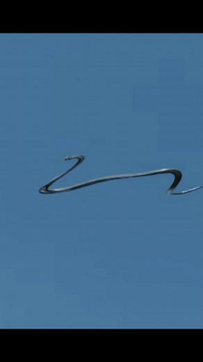 Flying snake🤘🏻 | snake