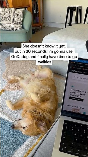 Making time for walks