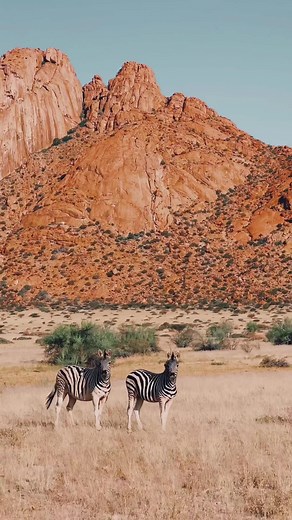 Surreal Landscapes of Namibia: Awe-Inspiring Beauty
