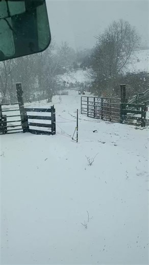 Exploring the Ford F250 and Ford Tractors Performance