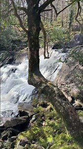 Cascade Heaven #Walks with views.
