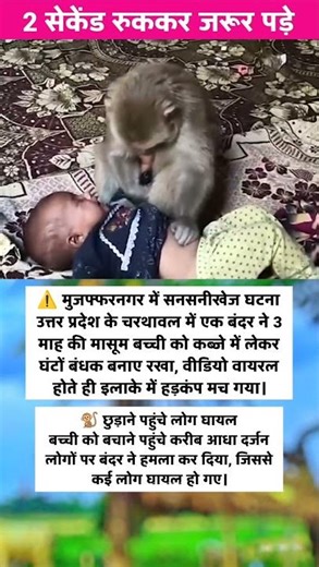 #samayranarula #nivetadhingramusic