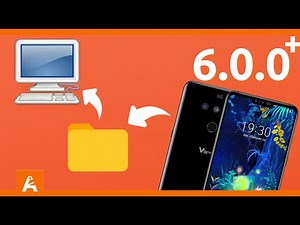 How to use Shared Folder on Limbo PC Emulator 6.0.0 or later | An Bui