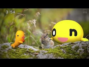 【OP】北海道テレビ放送（JOHH-DTV）［1080p］［現行］