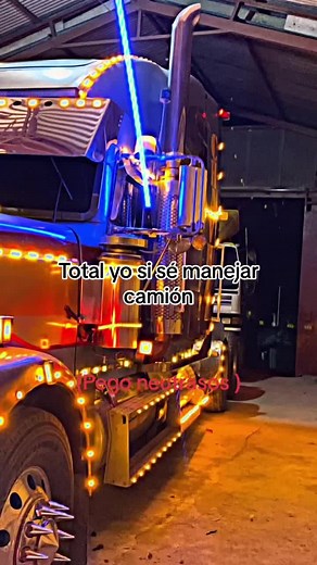 Expert Truck Driving Skills Showcase