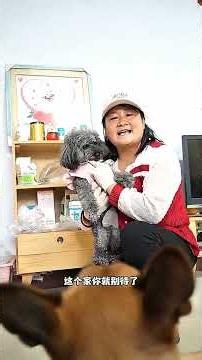 Dogs are humans' best friends. Love them, don't hurt them. #pets #animals