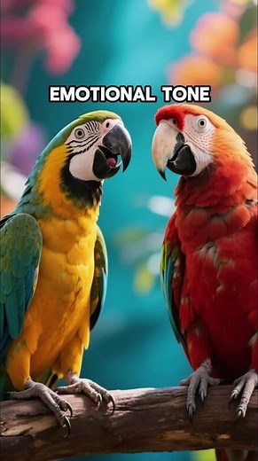 Why Do Parrots Talk Like Humans? 🦜 The Science of Animal Communication