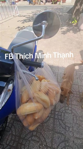 Tuỳ duyên tuỳ tâm xin đừng sân si,