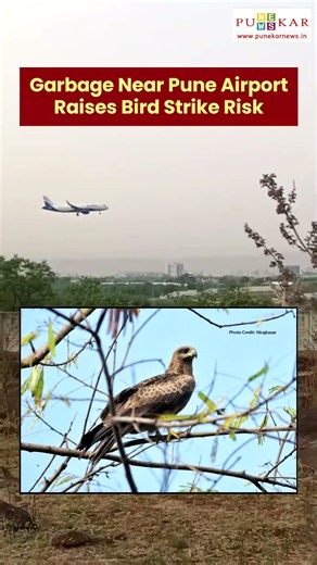 Garbage Near Pune Airport Raises Bird Strike Risk