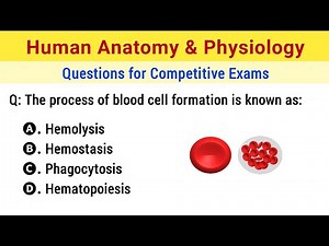 Human Anatomy and Physiology Mcq | Anatomy and Physiology Questions and Answers