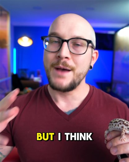 Leopard Geckos are the most popular pet lizard, but they kinda suck! Here's three reasons why and 3 BETTER Pet Lizards for you! If you want to pick one up at the best price, check out these amazing reptiles over on Palmstreet! - https://palmstreet.app/u/AdamWickens?pr=H6Qa3NyO | Wickens Wicked Reptiles