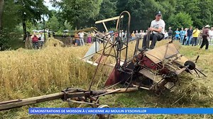 19K views · 106 reactions | Démonstrations de moisson à l’ancienne au Moulin d’Eschviller. Pour la nouvelle édition de La Fête des Saveurs, l’association “Les Amis du Moulin d’Eschviller” a sorti les machines agricoles d’antan pour montrer les vieilles techniques. | Mosaïk Cristal | Facebook