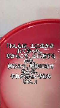 米の研ぎ汁を3日間発酵させたら — 葉が4週間で倍の大きさ（窒素固定菌）【有機農業】【実践動画】